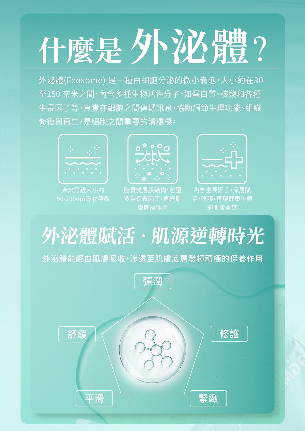 OGM 外泌體肌源重塑面膜 多入任選