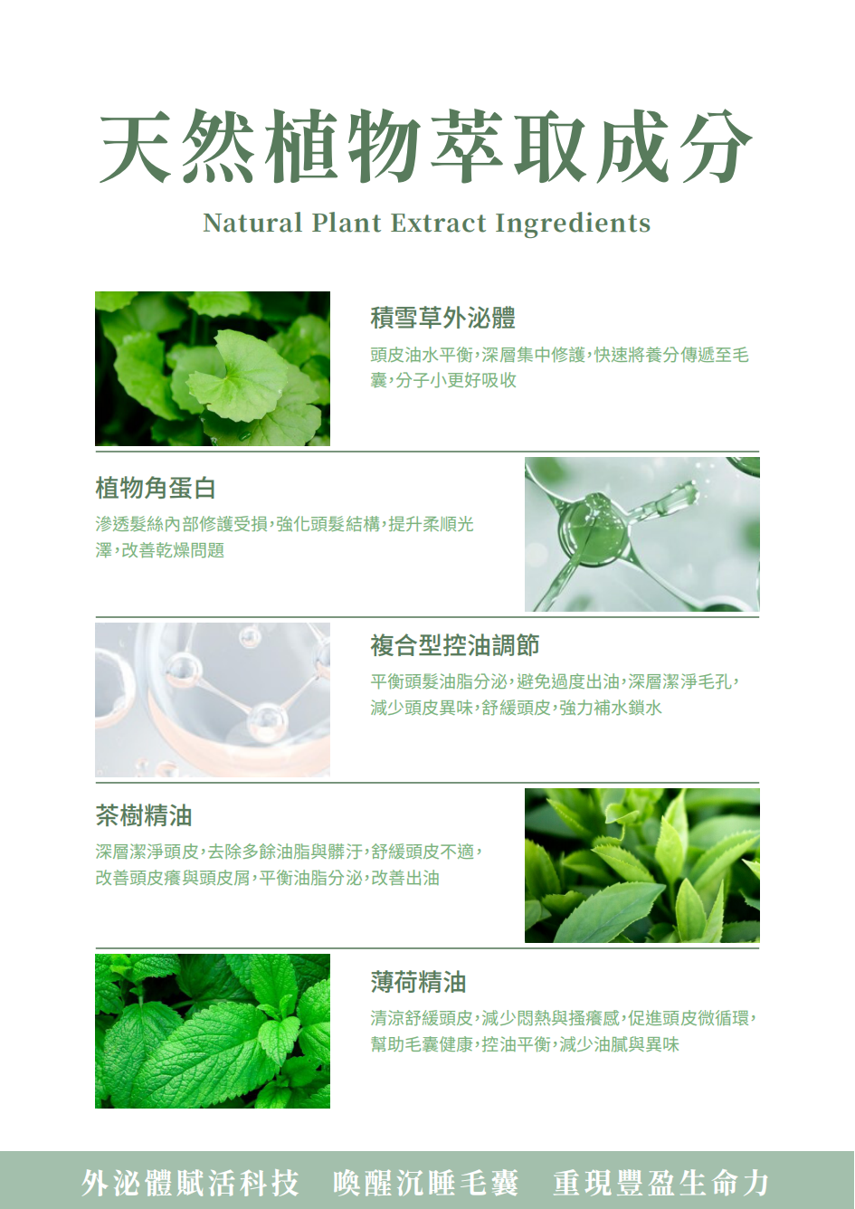 曜 賦活毛囊外泌體洗髮露