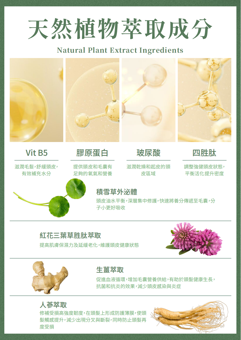 曜 賦活毛囊外泌體精華液