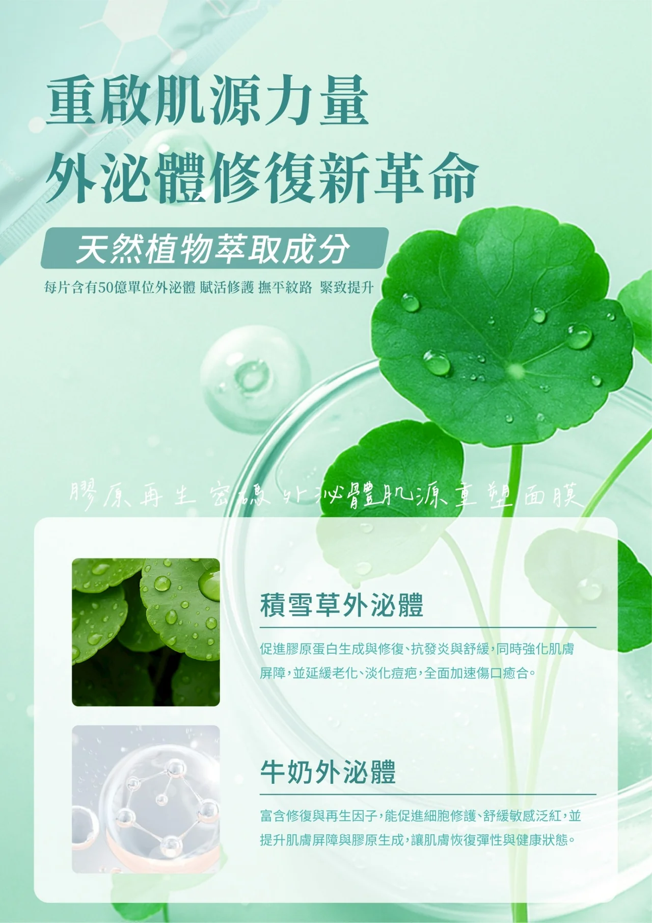 OGM 外泌體肌源重塑面膜 多入任選