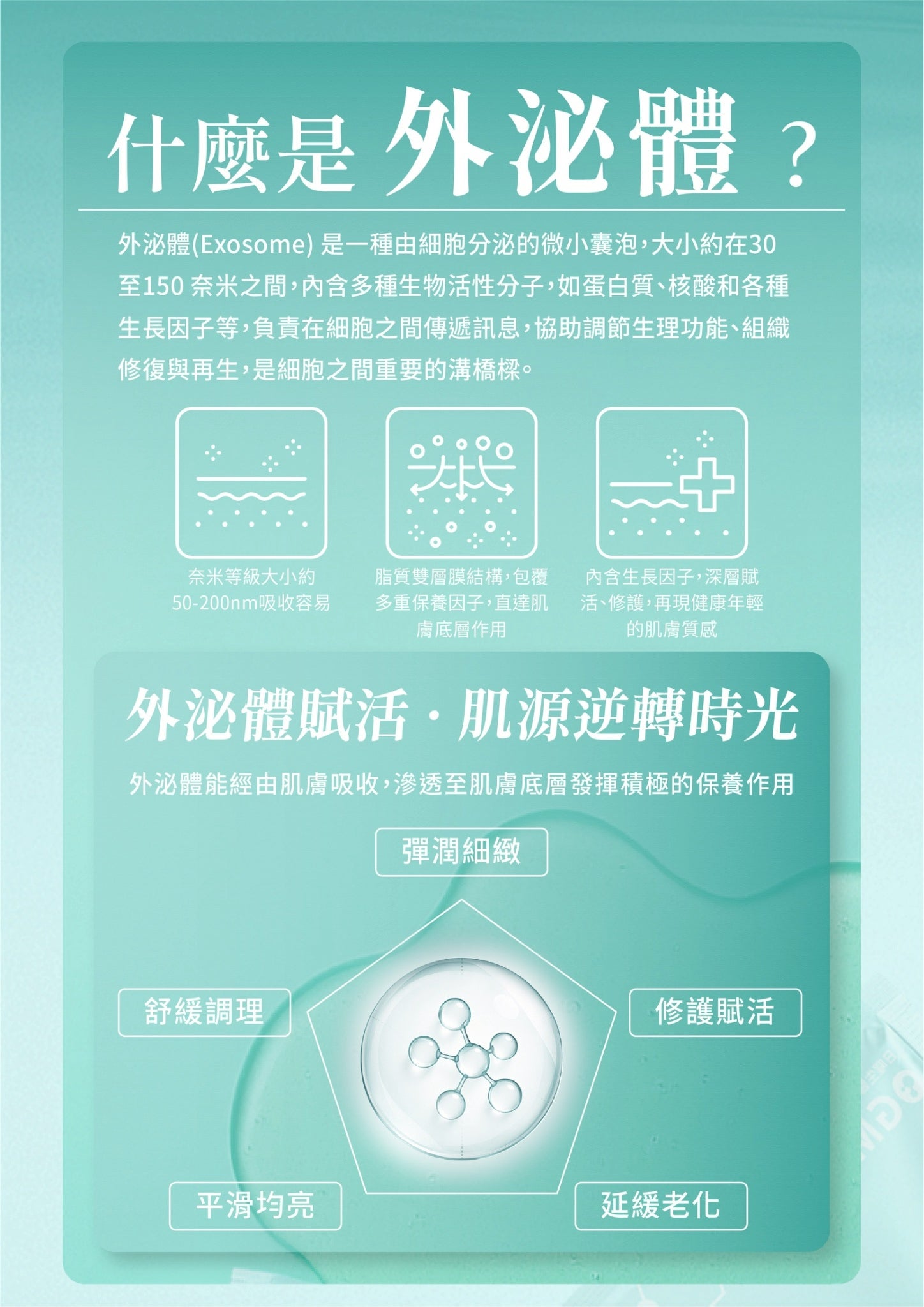 OGM 外泌體肌源重塑面膜