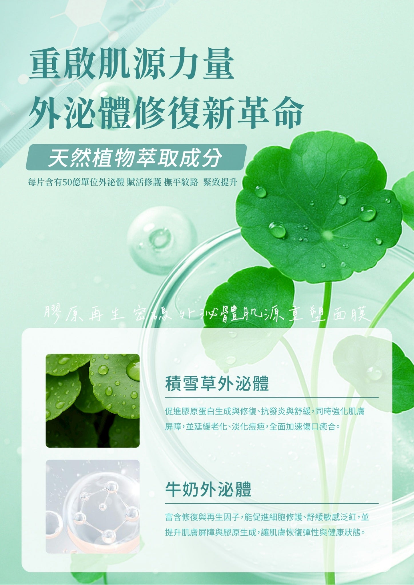 OGM 外泌體肌源重塑面膜